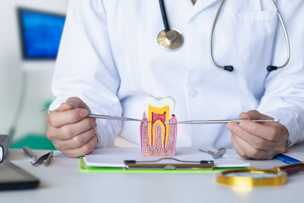 Best Emergency Wisdom Tooth Extraction in Goodview, MN